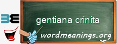 WordMeaning blackboard for gentiana crinita